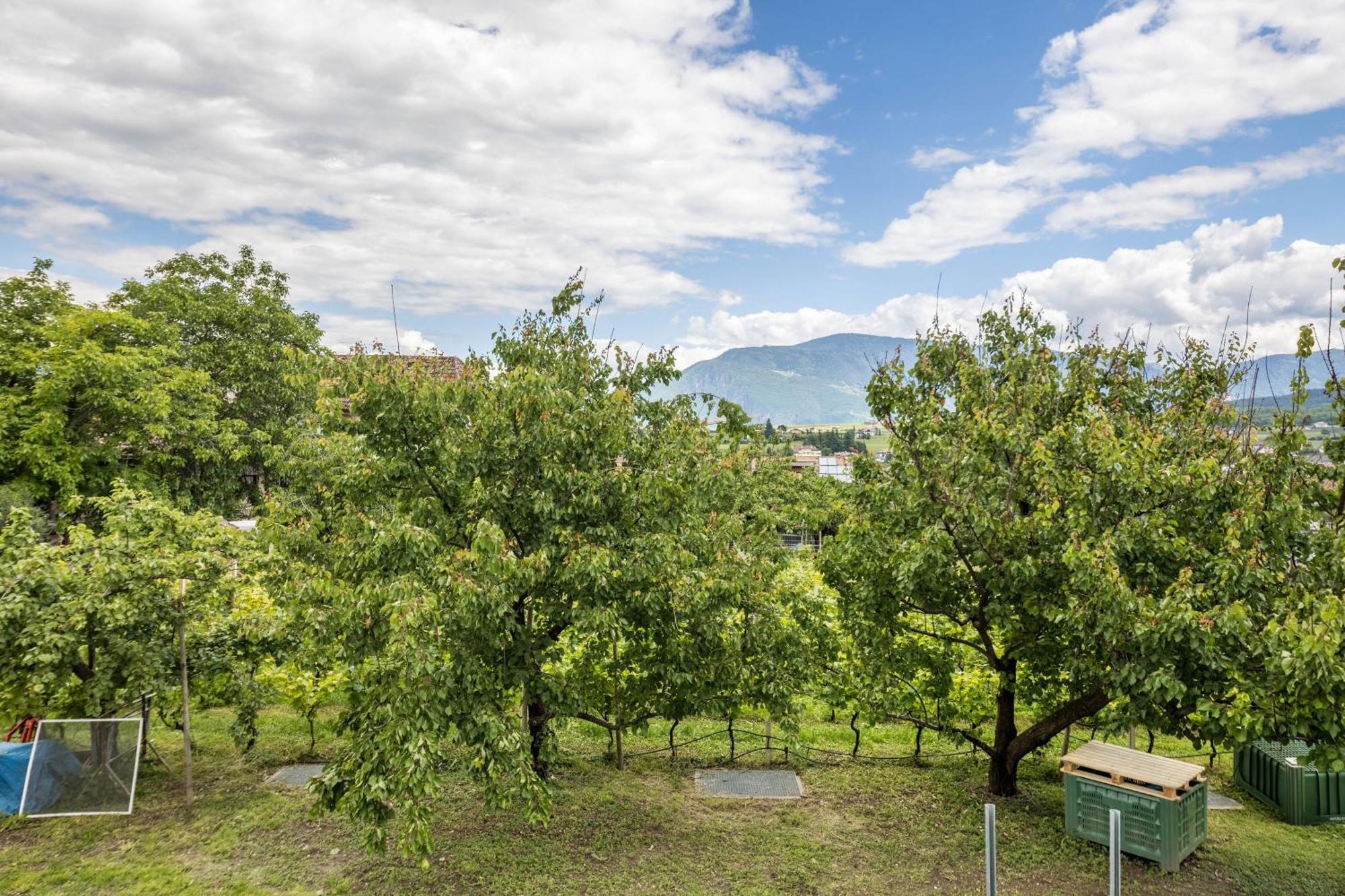 Angerblick Apartment Аппиано-Сулла-Страда-дель-Вино Экстерьер фото